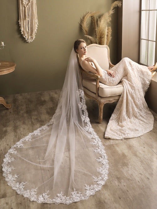 Cathedral Length Bridal Veil-Lace Edging